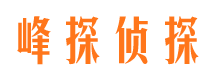 淳安市场调查